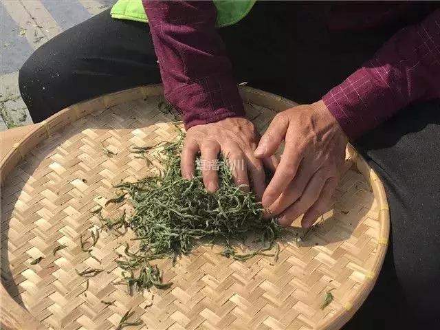 200度高温铁锅里徒手炒茶，北川茶娘一天可炒40斤