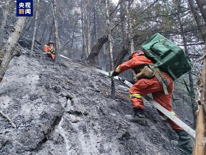 2起森林火灾造成重大损失  甘孜雅江25人被严肃追责