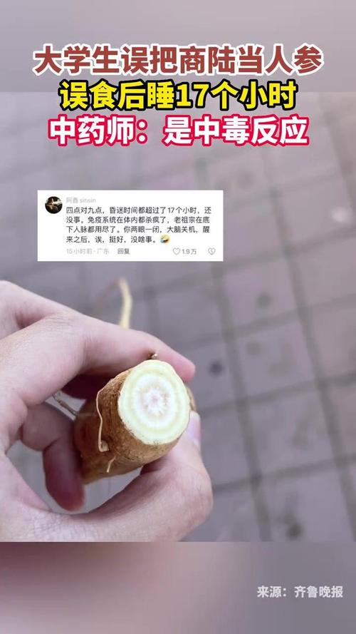 “大学生把商陆当人参误食后睡17个小时”引热议，当事人称在韩留学 中药师：中毒反应